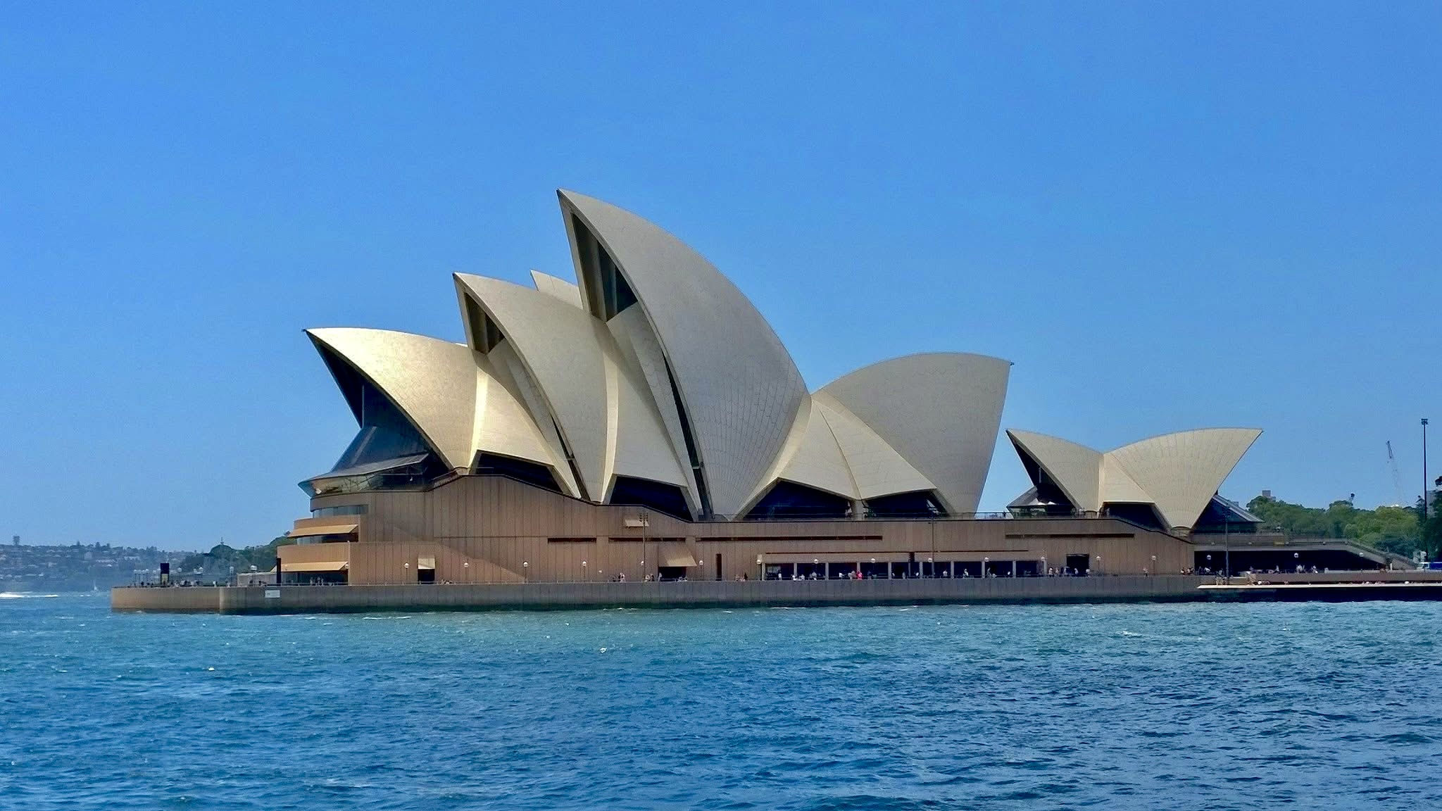 Sydney Opera House sails against a clear blue sky from across the harbour